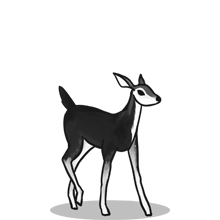 无害健康环保的{固定网站名称23}