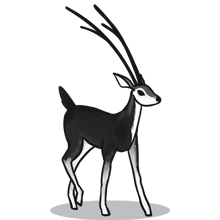 Web漏洞扫描工具